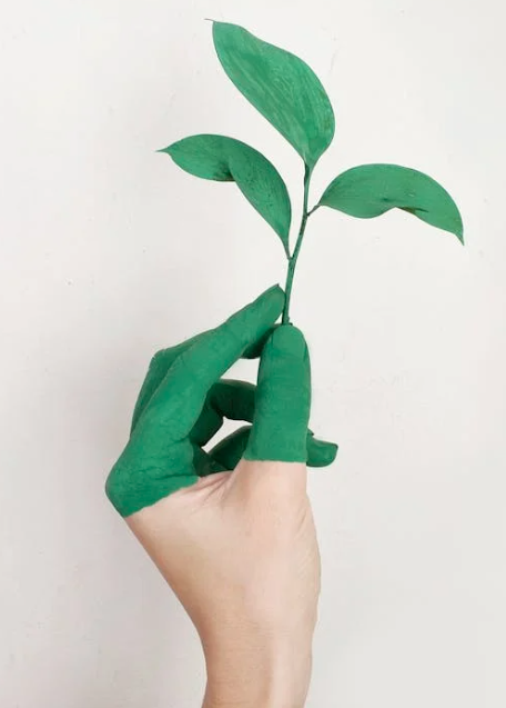 The use of sustainable packaging: making a difference for the environment