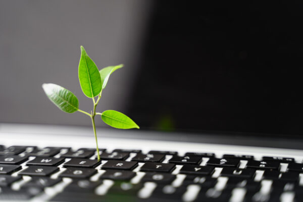 Why refurbished phones might just save the planet (1 gigabyte at a time! )