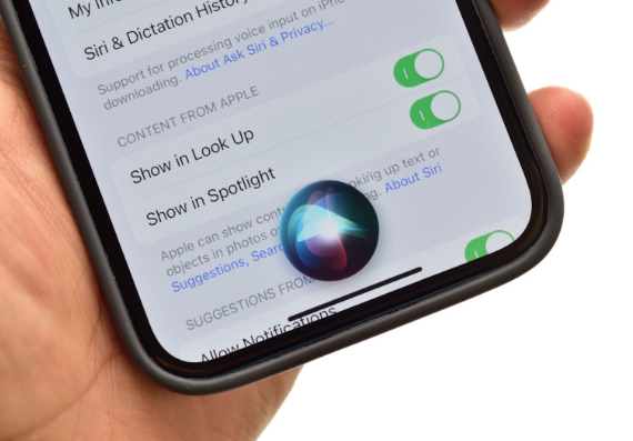 Accessibility features, siri