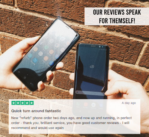 Customer Reviews